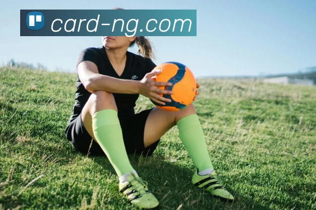 NG体育平台生态图