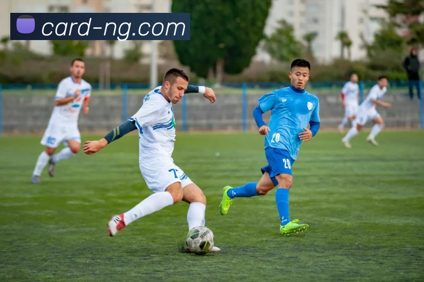 NG体育APP 封面图